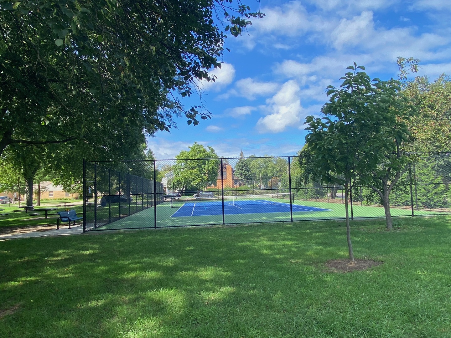 5253 Cleveland Street Skokie, IL 60077 - Photo 56 of 57 a view of green field with trees in the background