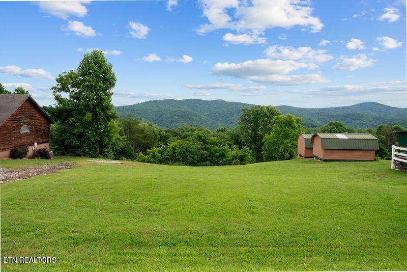 976 Livingston Boatdock Road Allons, TN 38541 - Photo 1 of 21 primary gedwill