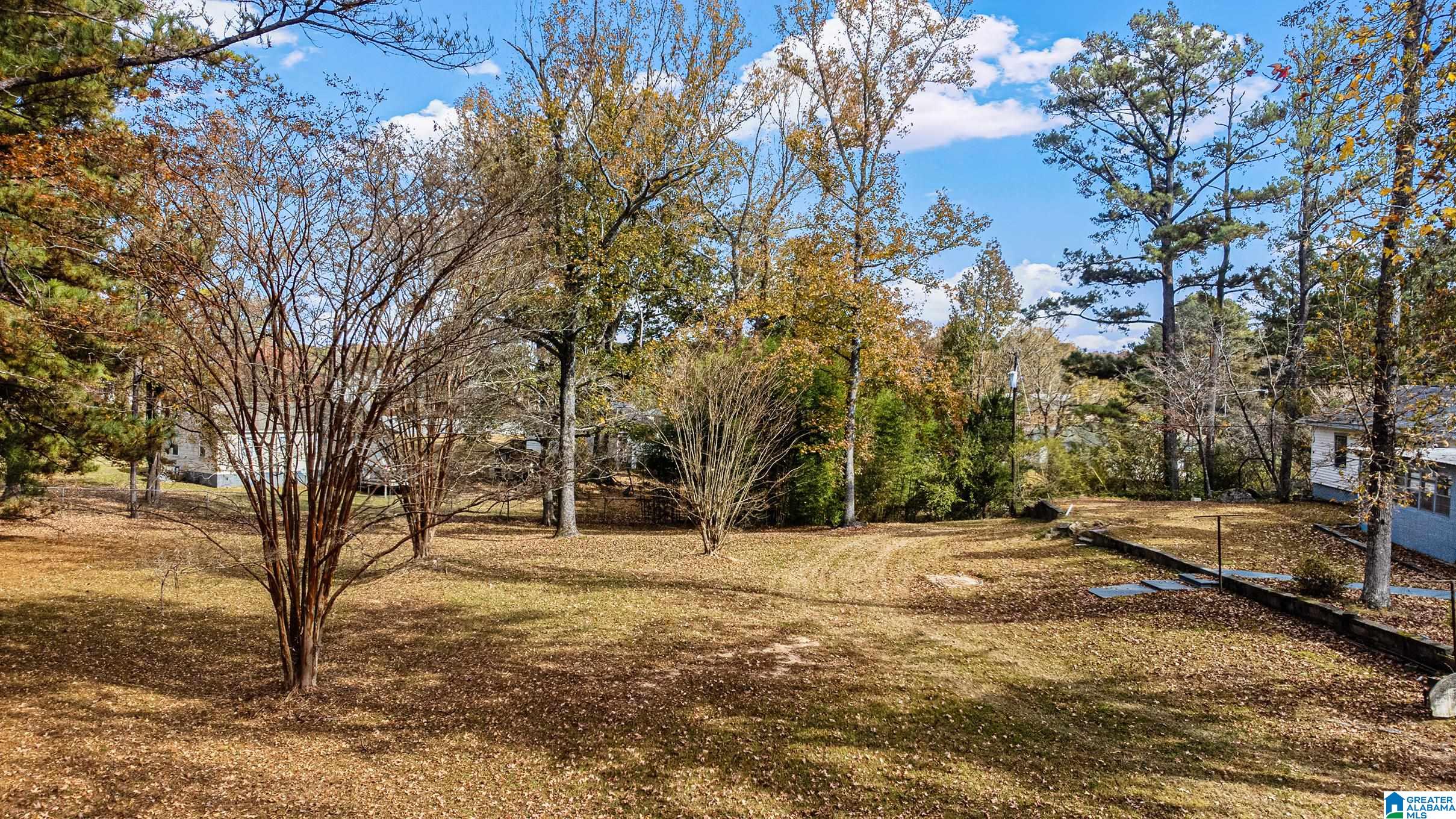 3211 Hillabee Road Alexander City, AL 35010 - Photo 30 of 35