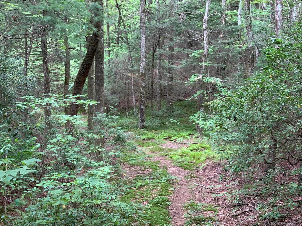 Lot 14 Liz Reece Road Rosman, NC 28772 - Photo 12 of 18 Gallery Image 12