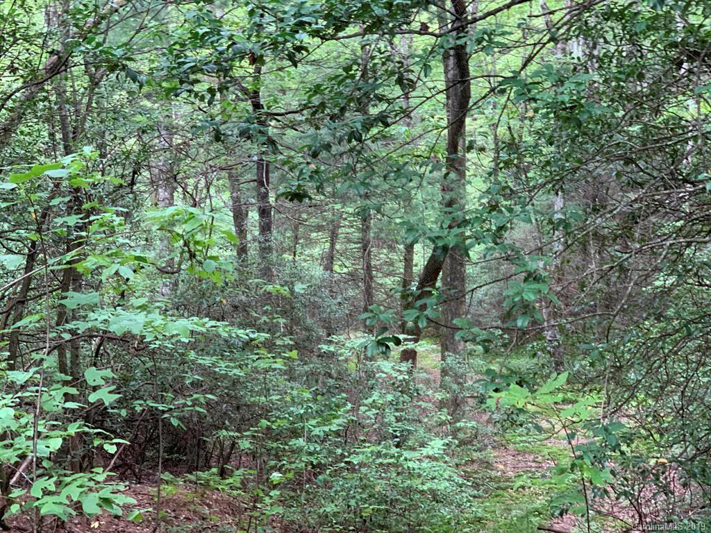 Lot 14 Liz Reece Road Rosman, NC 28772 - Photo 14 of 18 Gallery Image 14