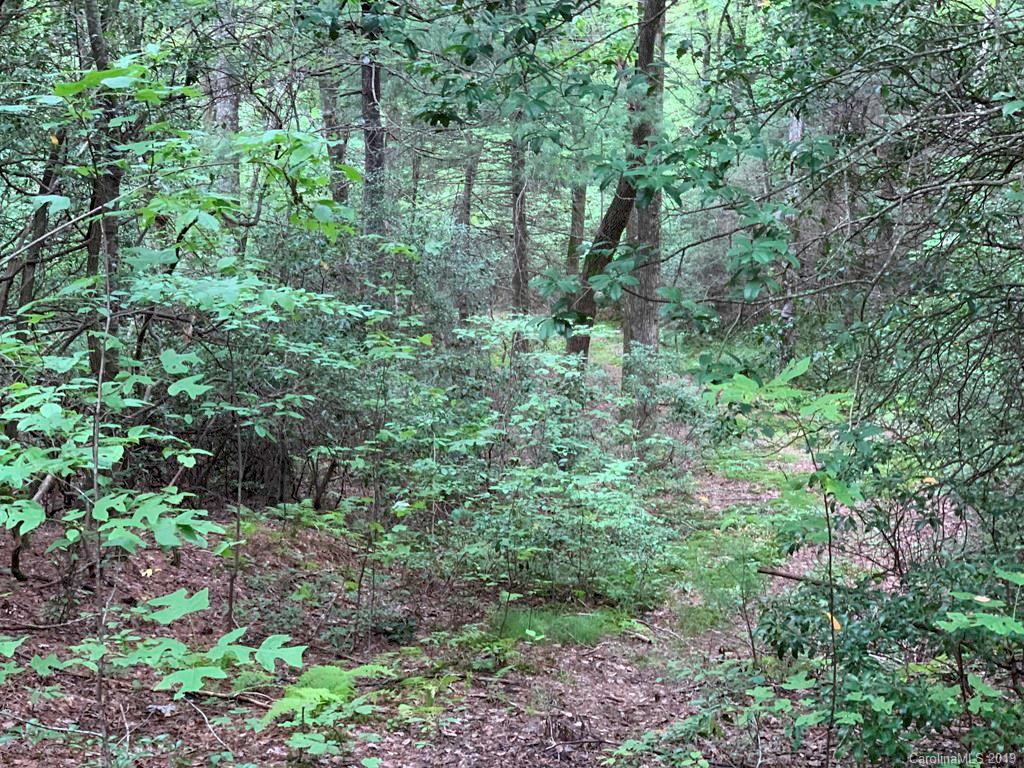 Lot 14 Liz Reece Road Rosman, NC 28772 - Photo 15 of 18 Gallery Image 15