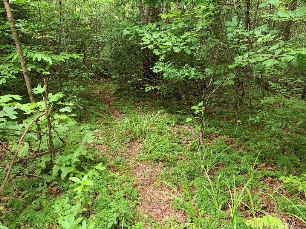 Lot 14 Liz Reece Road Rosman, NC 28772 - Photo 16 of 18 Gallery Image 16