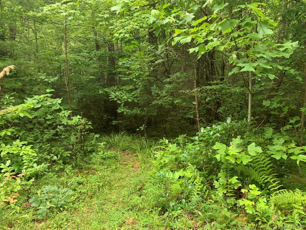 Lot 14 Liz Reece Road Rosman, NC 28772 - Photo 17 of 18 Gallery Image 17