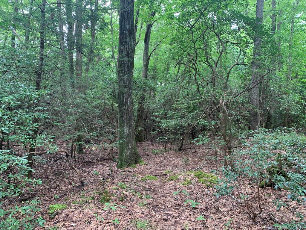 Lot 14 Liz Reece Road Rosman, NC 28772 - Photo 8 of 18 Gallery Image 8