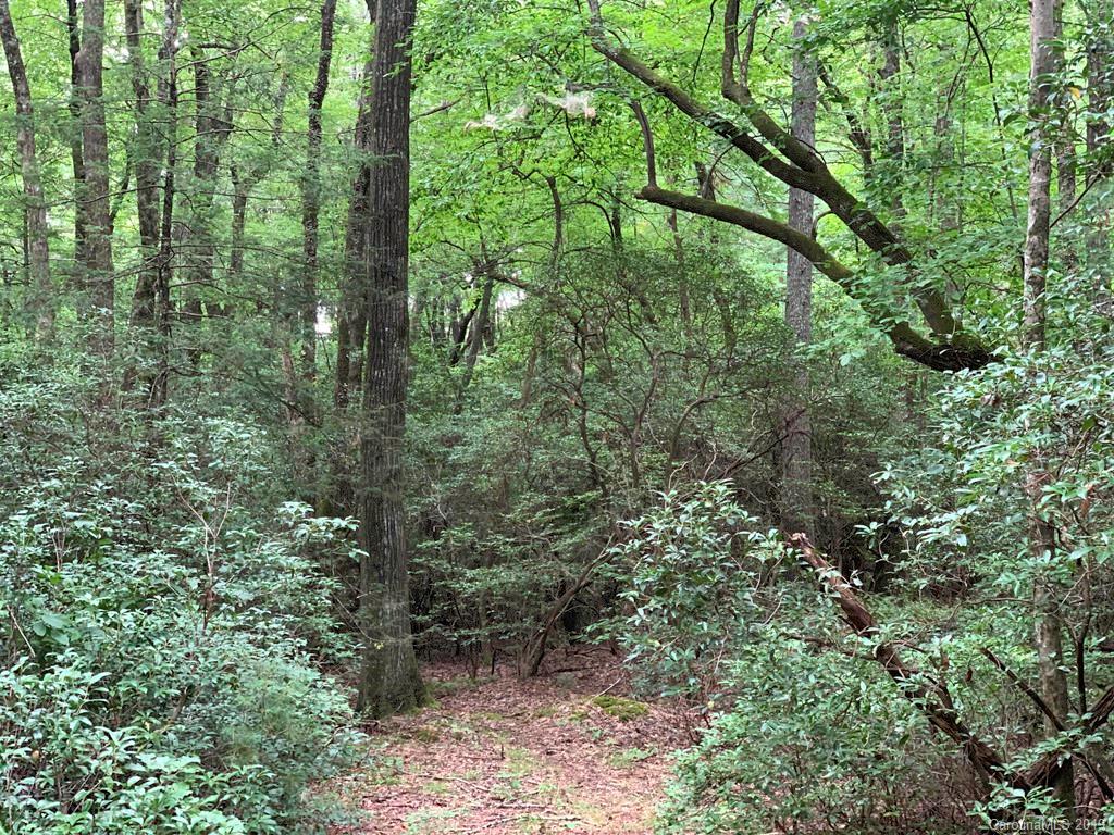 Lot 14 Liz Reece Road Rosman, NC 28772 - Photo 9 of 18 Gallery Image 9
