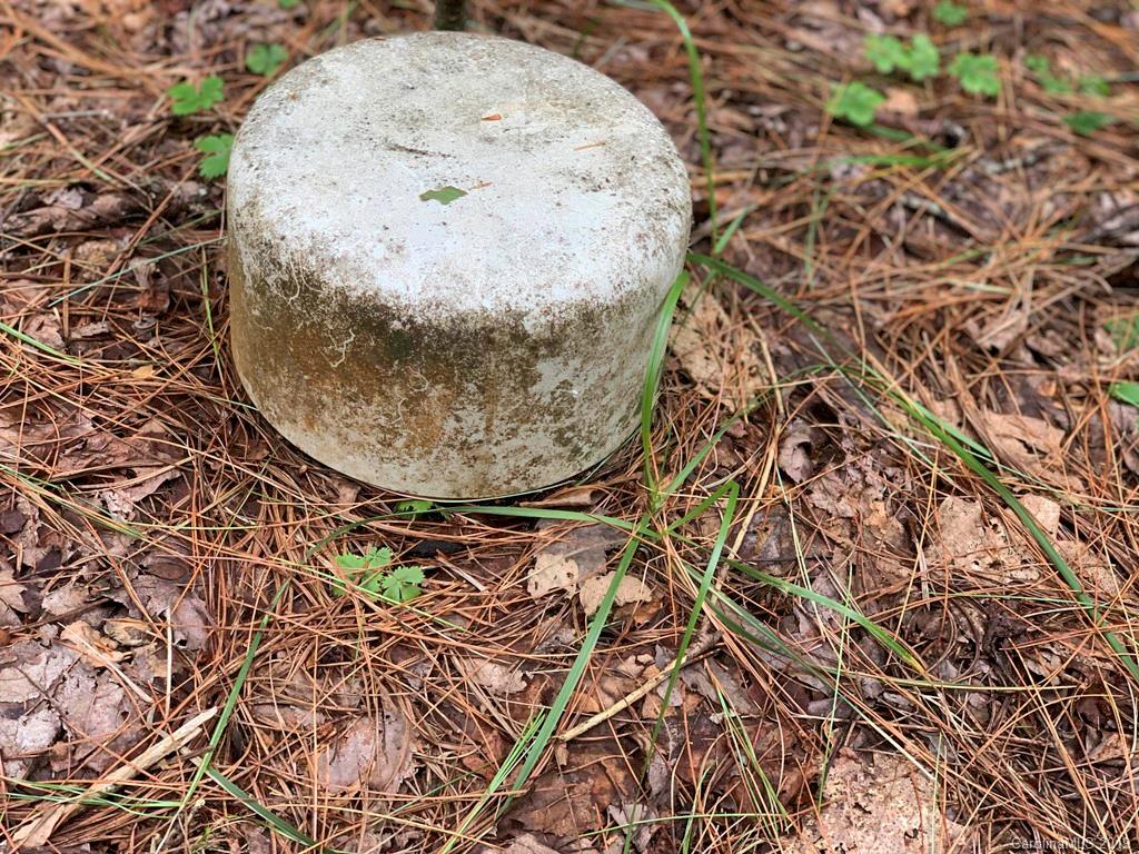 Lot 14 Liz Reece Road Rosman, NC 28772 - Photo 10 of 18 Gallery Image 10
