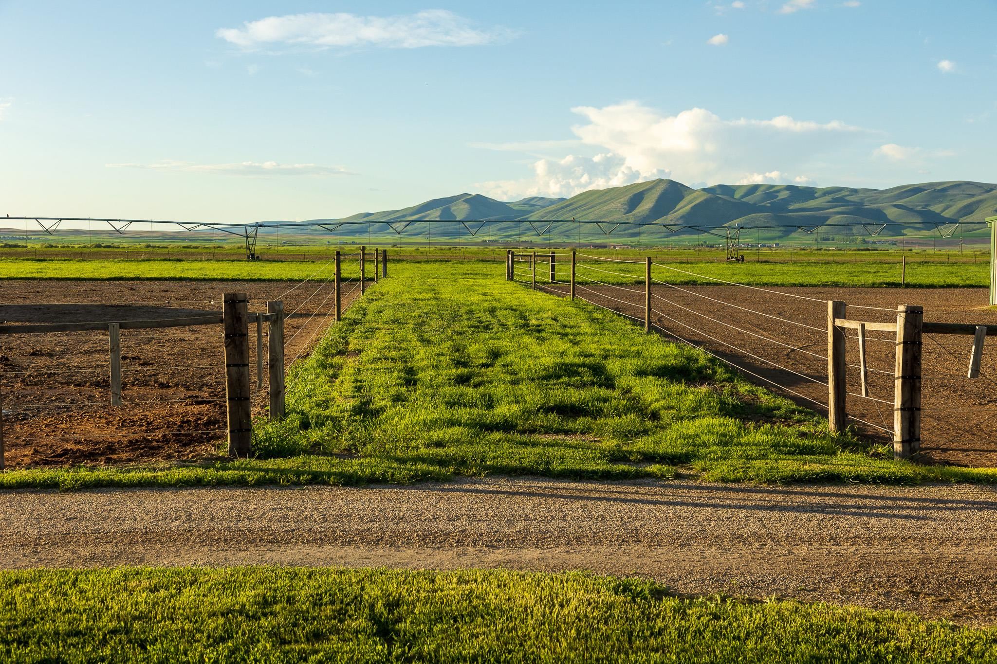 950 Miles Road Bancroft, ID 83217 - Photo 17 of 41 Gallery Image 17