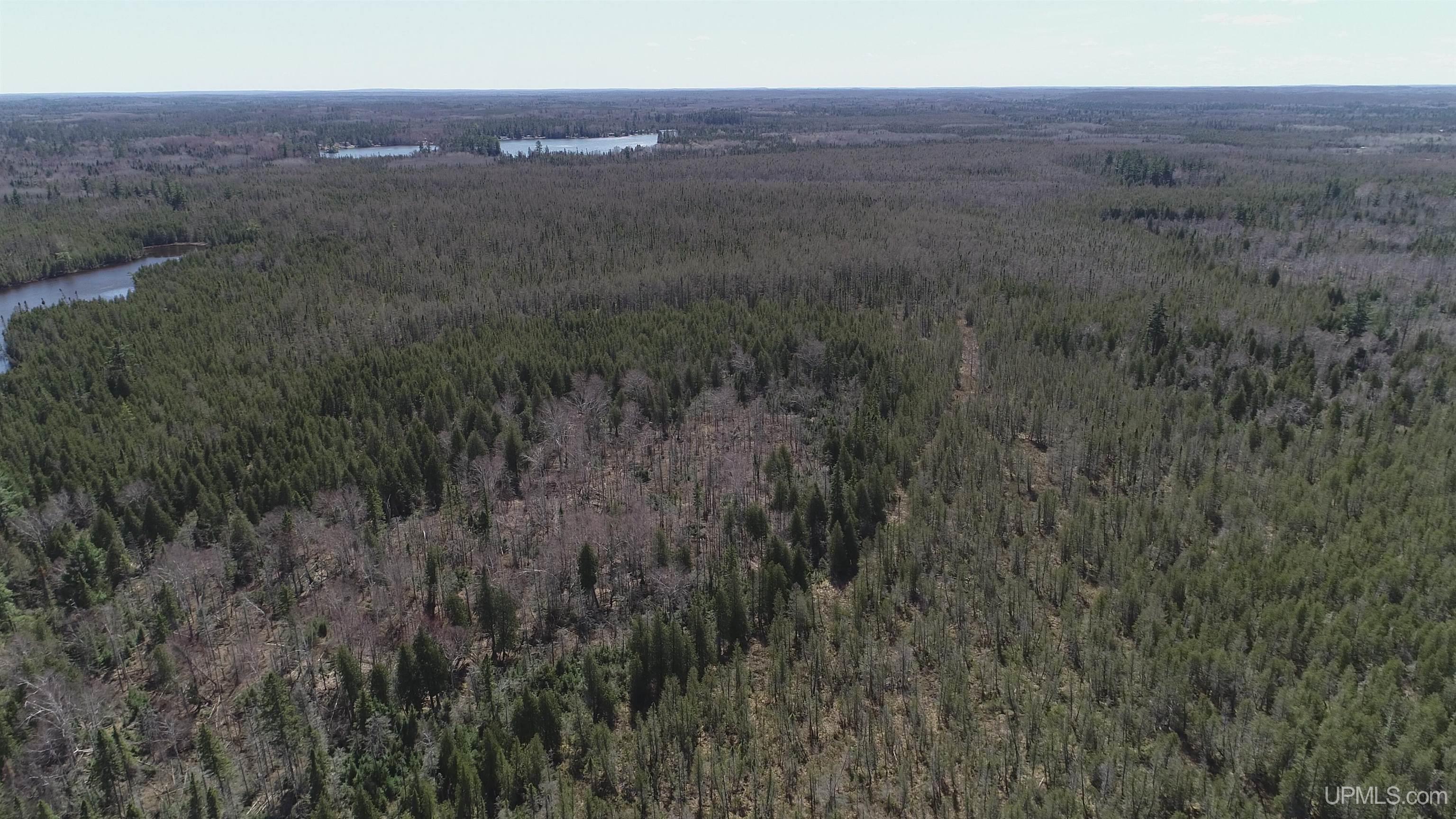 240 A Off Helen Lake Road Ishpeming, MI 49849 - Photo 9 of 11