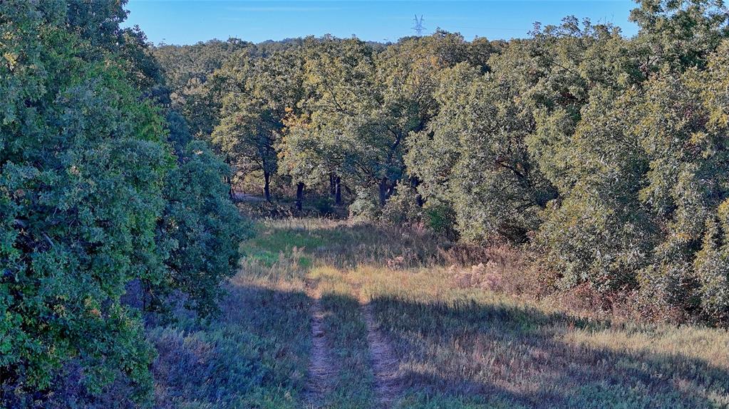4 4 Wire Road Bowie, TX 76230 - Photo 6 of 39 a view of a lake in between two of trees