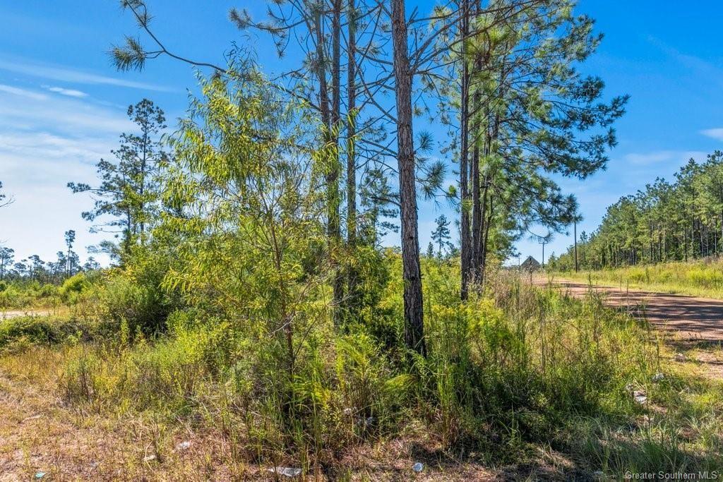2 Pilgrim Rest Road Dequincy, LA 70633 - Photo 2 of 7