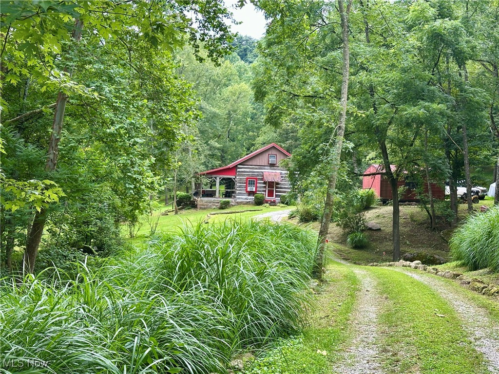 325 North Fork Road New Matamoras, OH 45767 - Photo 37 of 50 View of yard with a wooded view