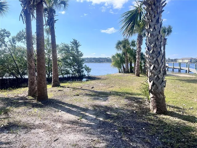 a view of a yard with palm tree