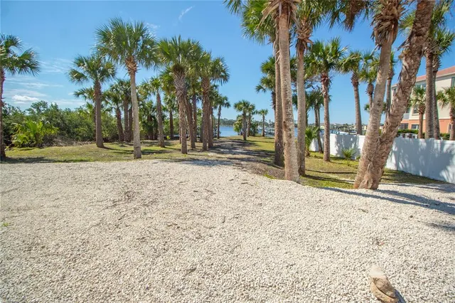 a view of a yard with palm trees