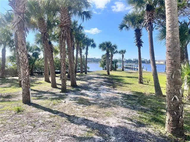 a view of a park with palm trees
