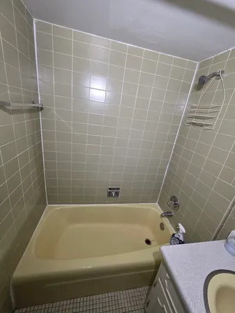 $1,450 | 336 Lathrop Avenue, Unit 304, Forest Park, IL 60130