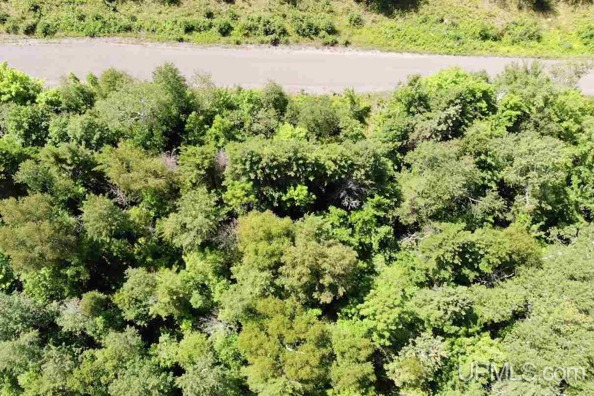 Tbd Lilja Road Calumet, MI 49913 - Photo 11 of 24