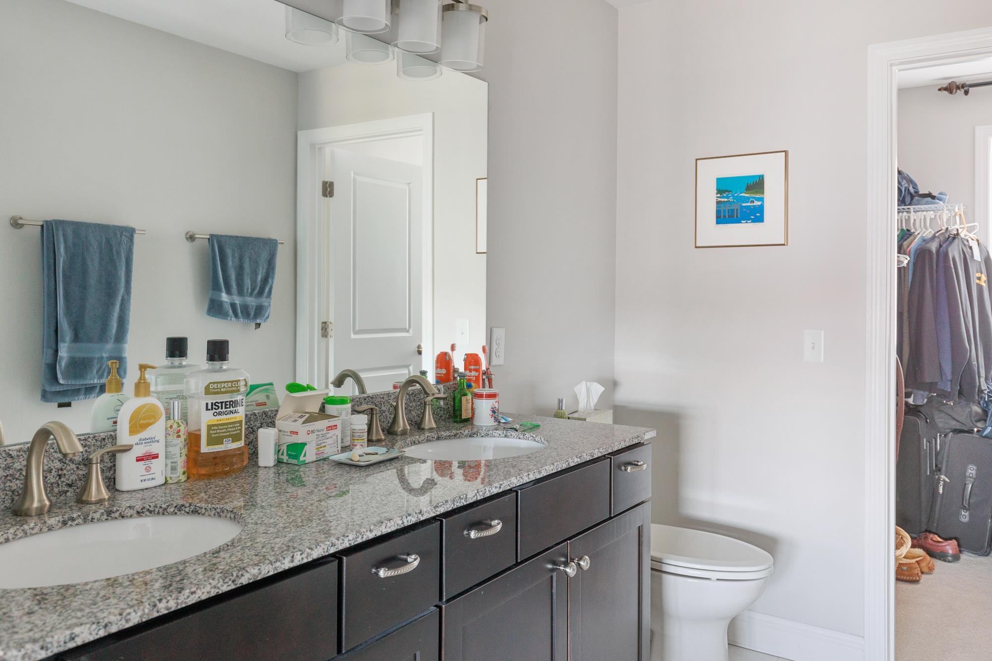 369 Zephyr Road Williston, VT 05495 - Photo 26 of 40 Gallery Image 26