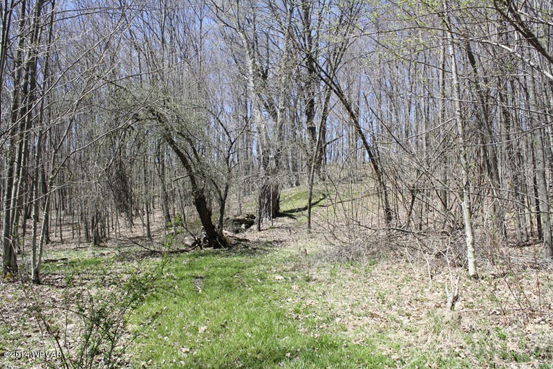 480 Trowbridge Station Road Millerton, PA 16936 - Photo 38 of 77 126390-38