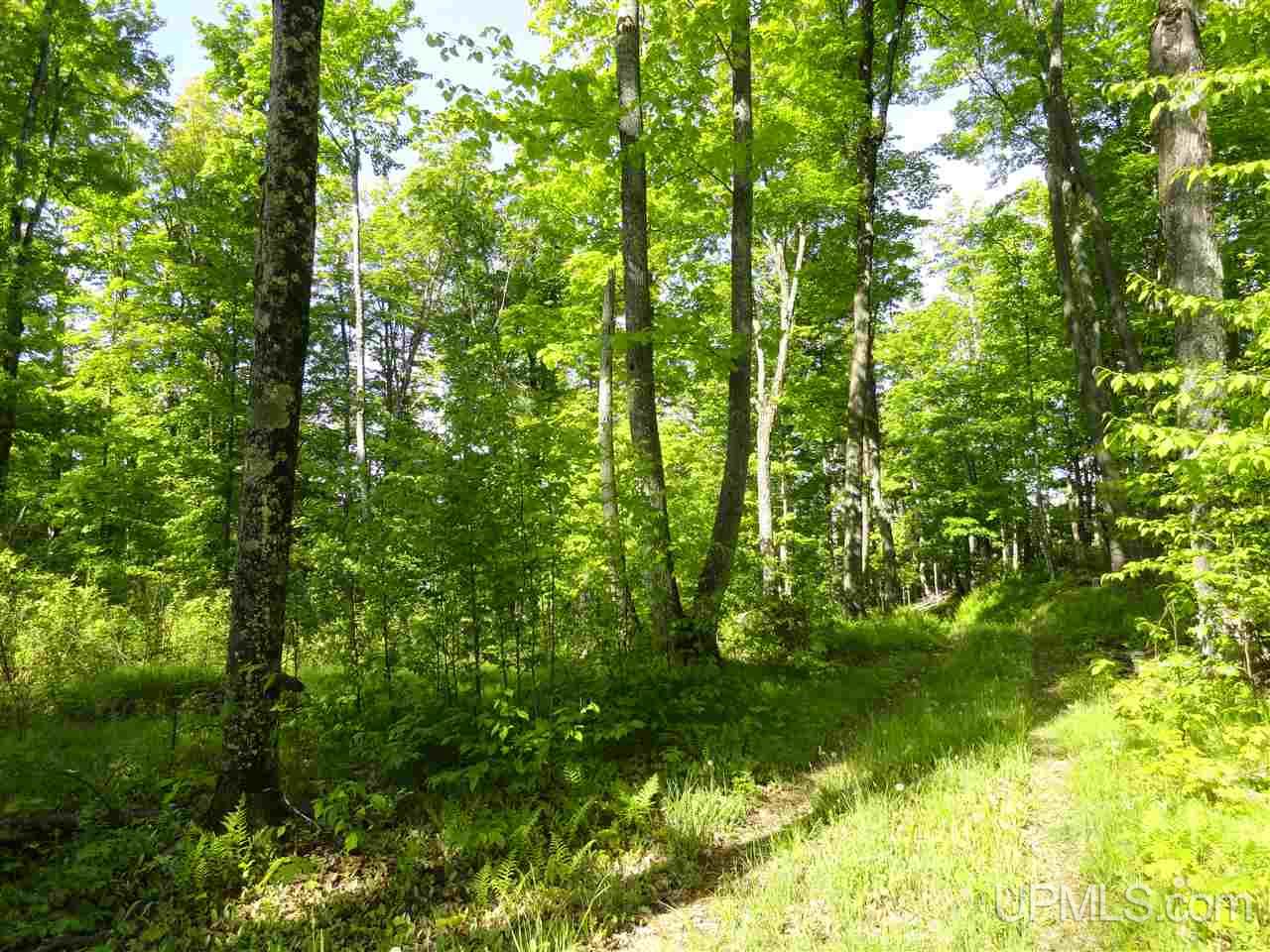 7202 Elm Road Republic, MI 49879 - Photo 20 of 36
