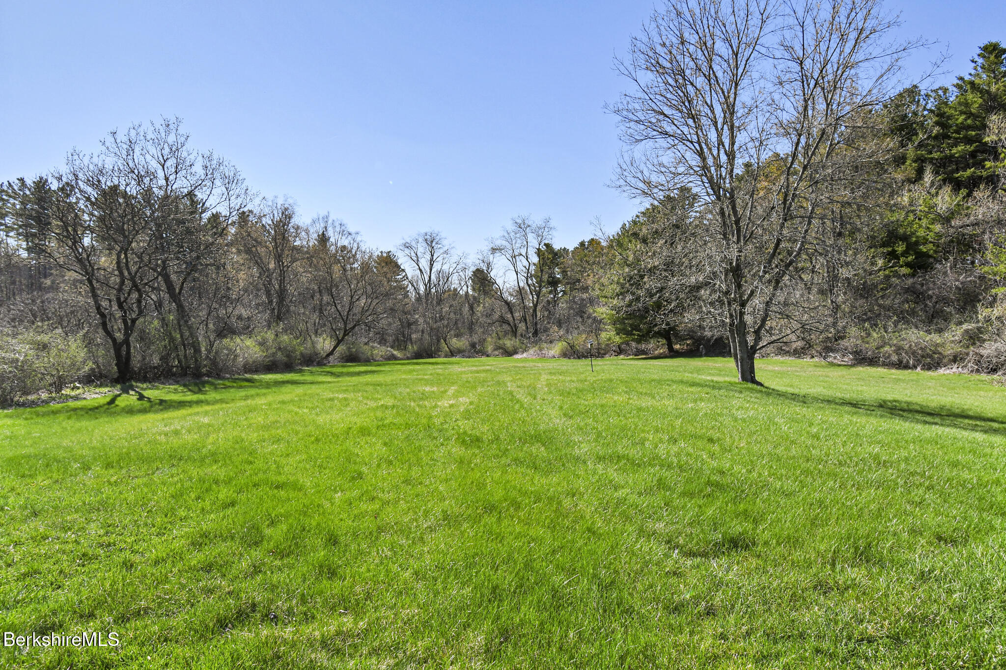 208 Jason Street Pittsfield, MA 01201 - Photo 29 of 32 a view of green field with trees in the background
