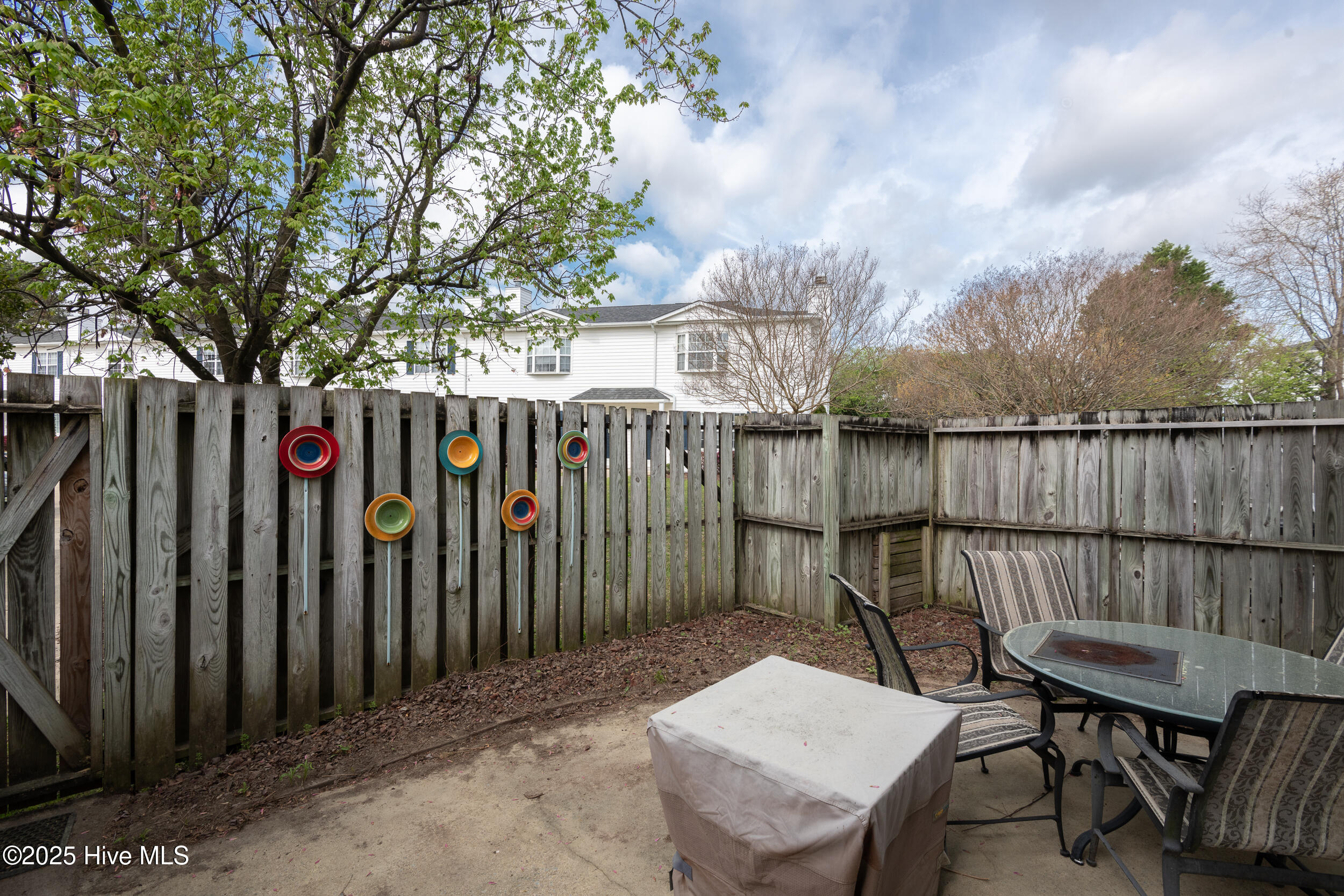 975 Spring Forest Road, Unit B1 Greenville, NC 27834 - Photo 7 of 29 975-B1_Spring_Forest-8
