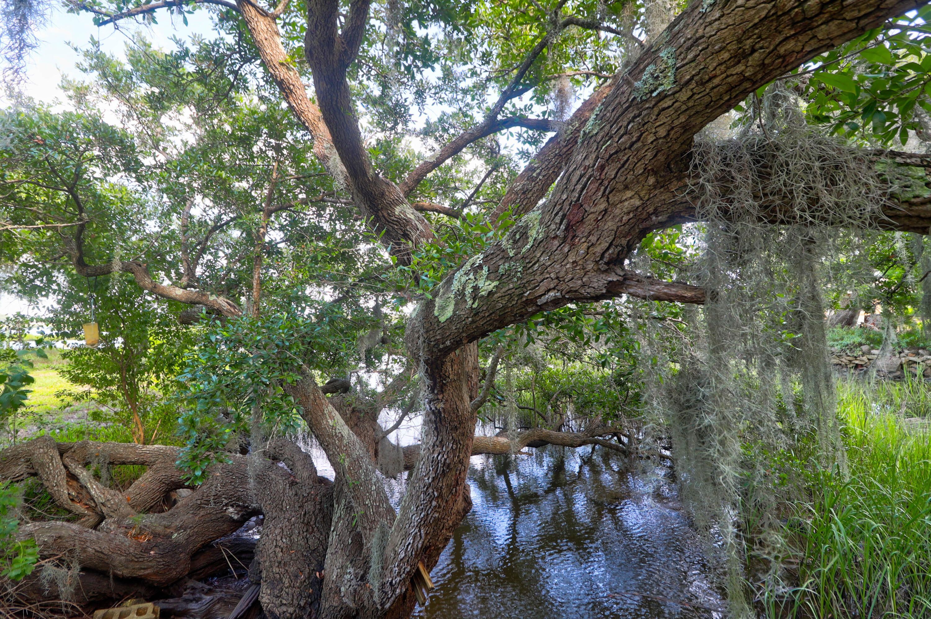 4627 Shark Hole Road Meggett, SC 29449 - Photo 74 of 153 4627 Shark Hole -Tidalcreekphoto- (13)