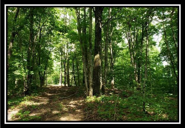 0 Pedigo Ridge Road, Unit TRACT 5) Nelsonville, OH 45764 - Photo 50 of 56 image049