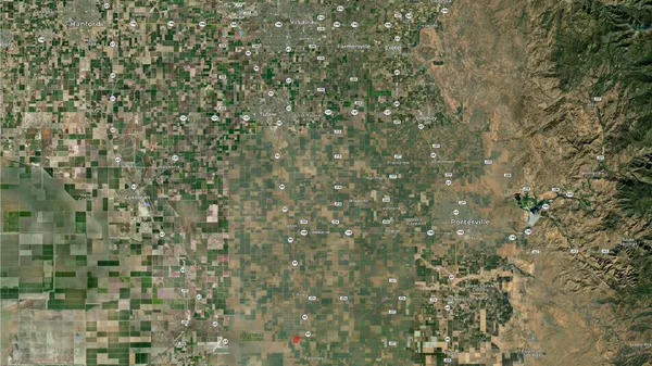 a close up of a plant