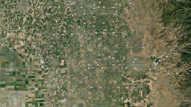 a close up of a plant