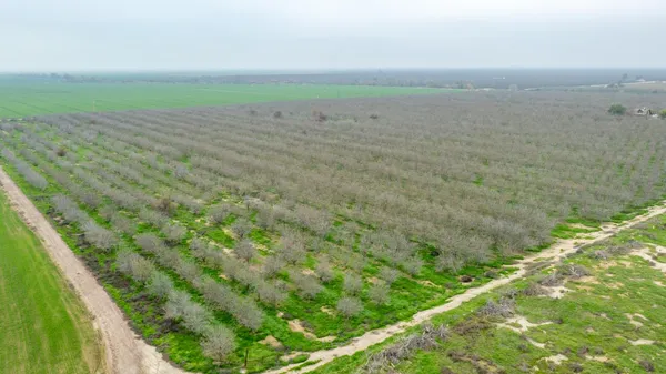 a view of a field with an ocean