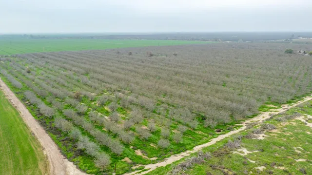 a view of a field with an ocean