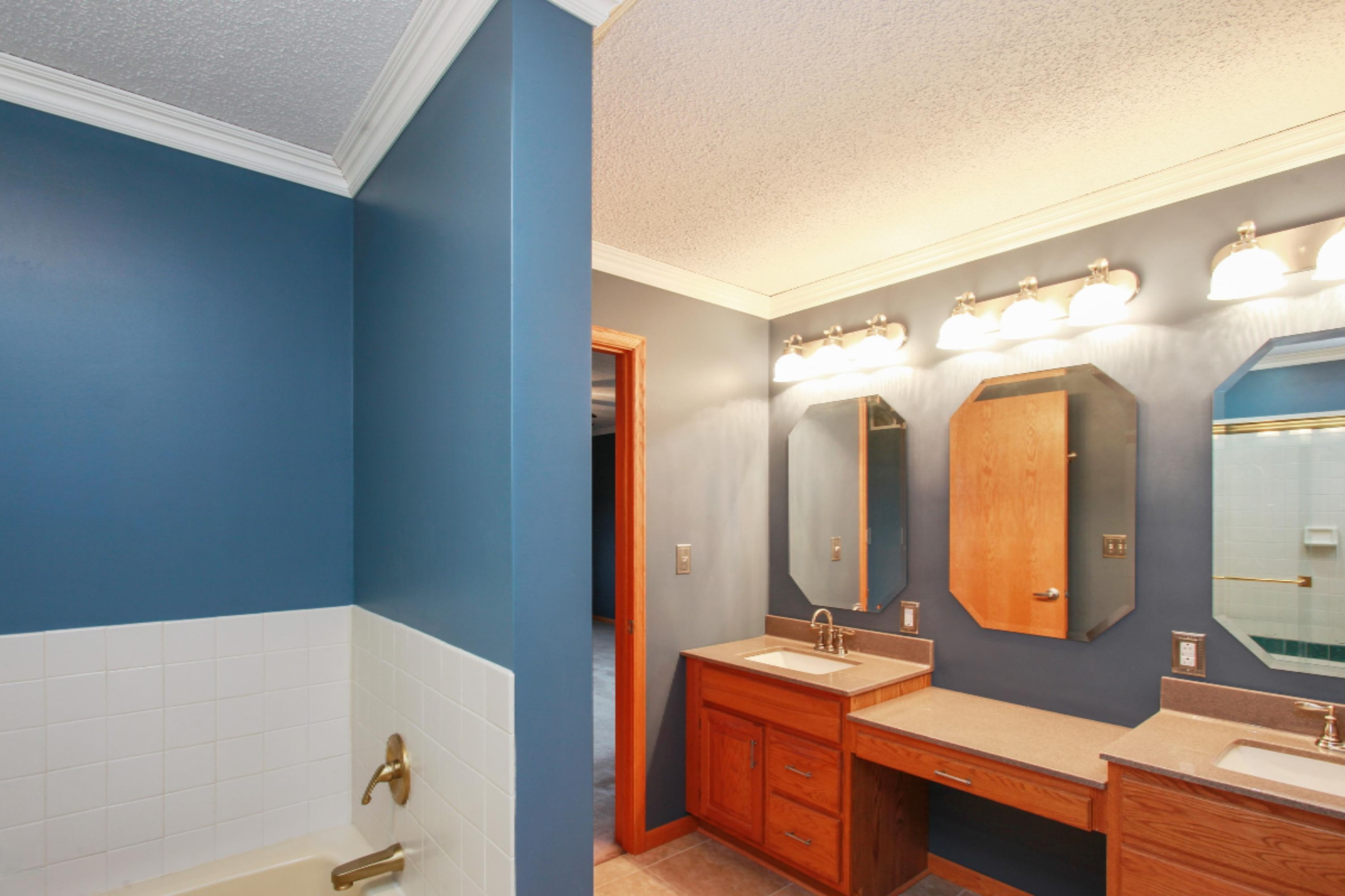 6975 Jericho Road Stevensville, MI 49127 - Photo 7 of 16 Master Bath