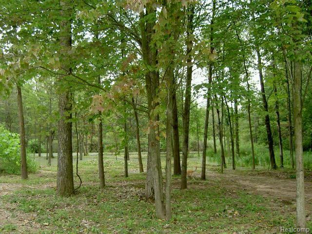 6565 Oakville Waltz Road Carleton, MI 48117 - Photo 21 of 25 Pond