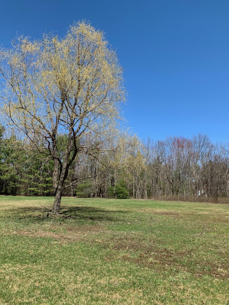 0 Del Chadbourne Road Bridgton, ME 04009 - Photo 3 of 10 2
