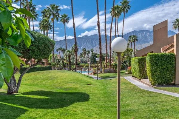 a view of a backyard