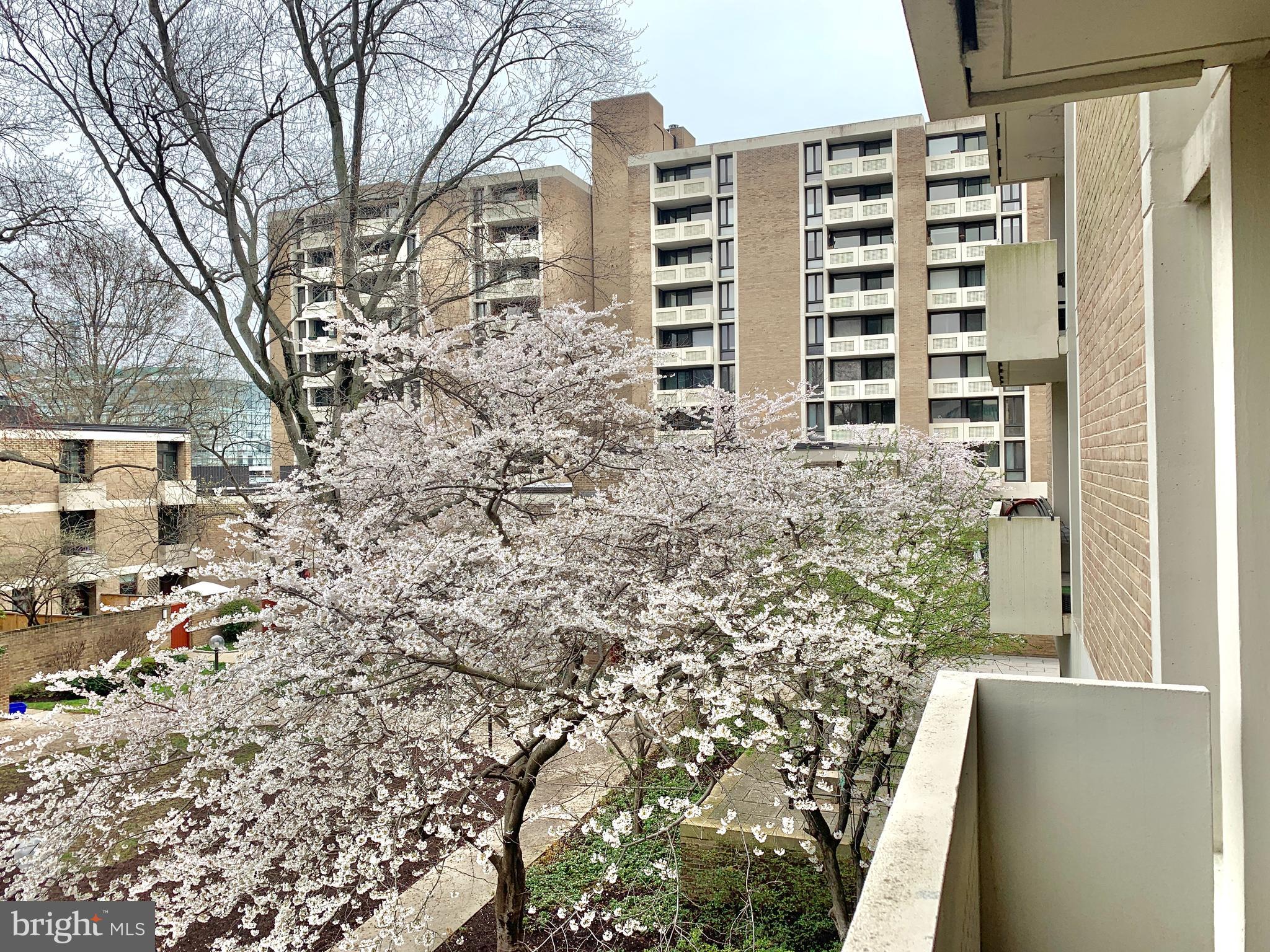 490 M Street Southwest, Unit W103 Washington, DC 20024 - Photo 3 of 28