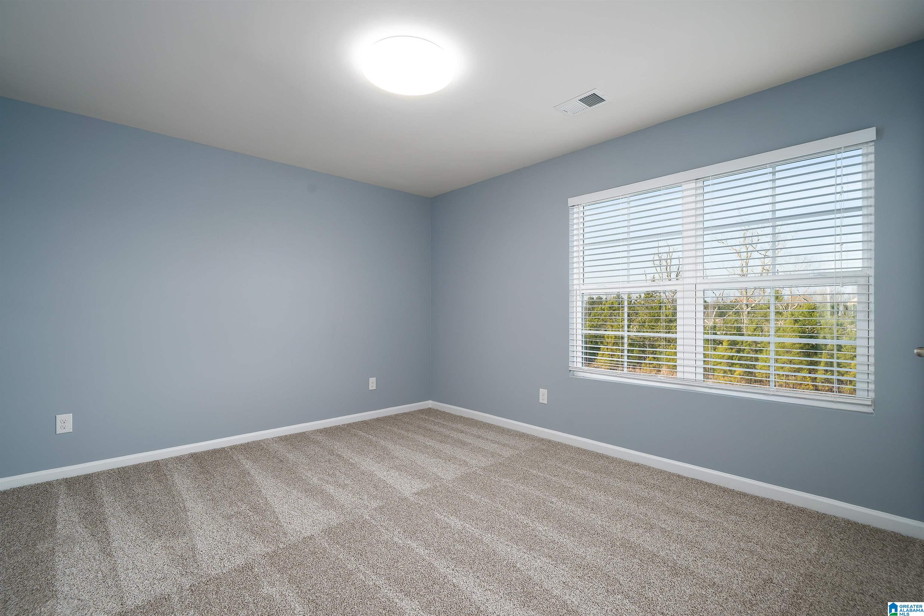 321 Blackberry Boulevard Springville, AL 35146 - Photo 31 of 38