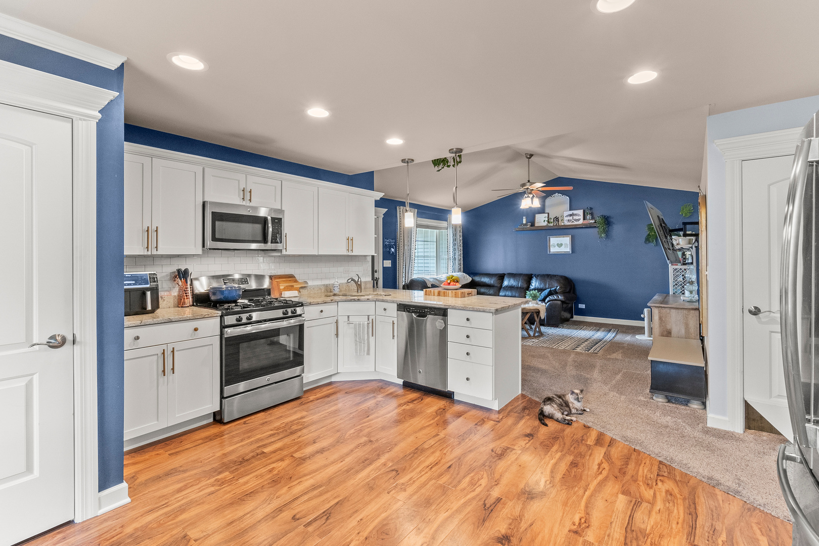 817 Casey Drive Minooka, IL 60447 - Photo 7 of 22