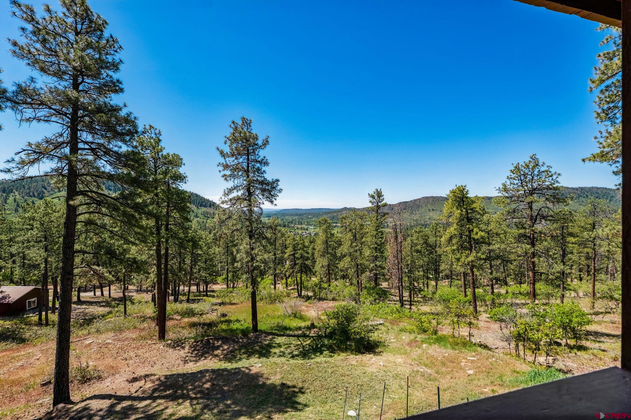 1024 Deer Ridge Drive Bayfield, CO 81122 - Photo 9 of 45