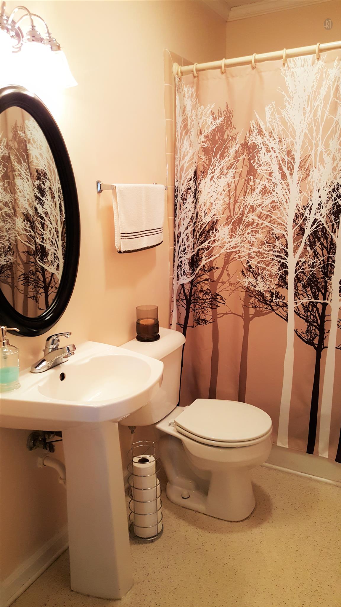 4813 Midland Road Christiana, TN 37037 - Photo 12 of 18 Charming guest bath between bedroom #1 & #2