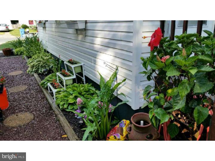 28 Churchill Road Cherry Hill, NJ 08034 - Photo 21 of 22 Garden