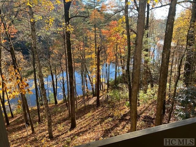 151 Overlook Road, Unit D Sapphire, NC 28774 - Photo 6 of 14 Gallery Image 6