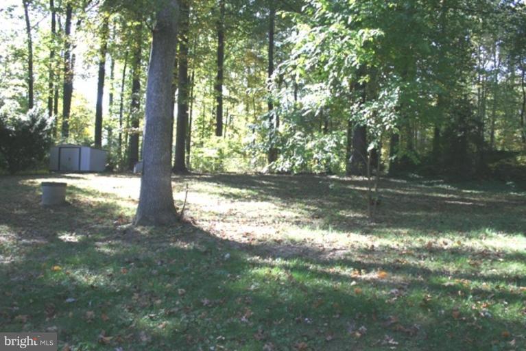 1104 Utterback Store Road Great Falls, VA 22066 - Photo 3 of 8 Fantastic back yard