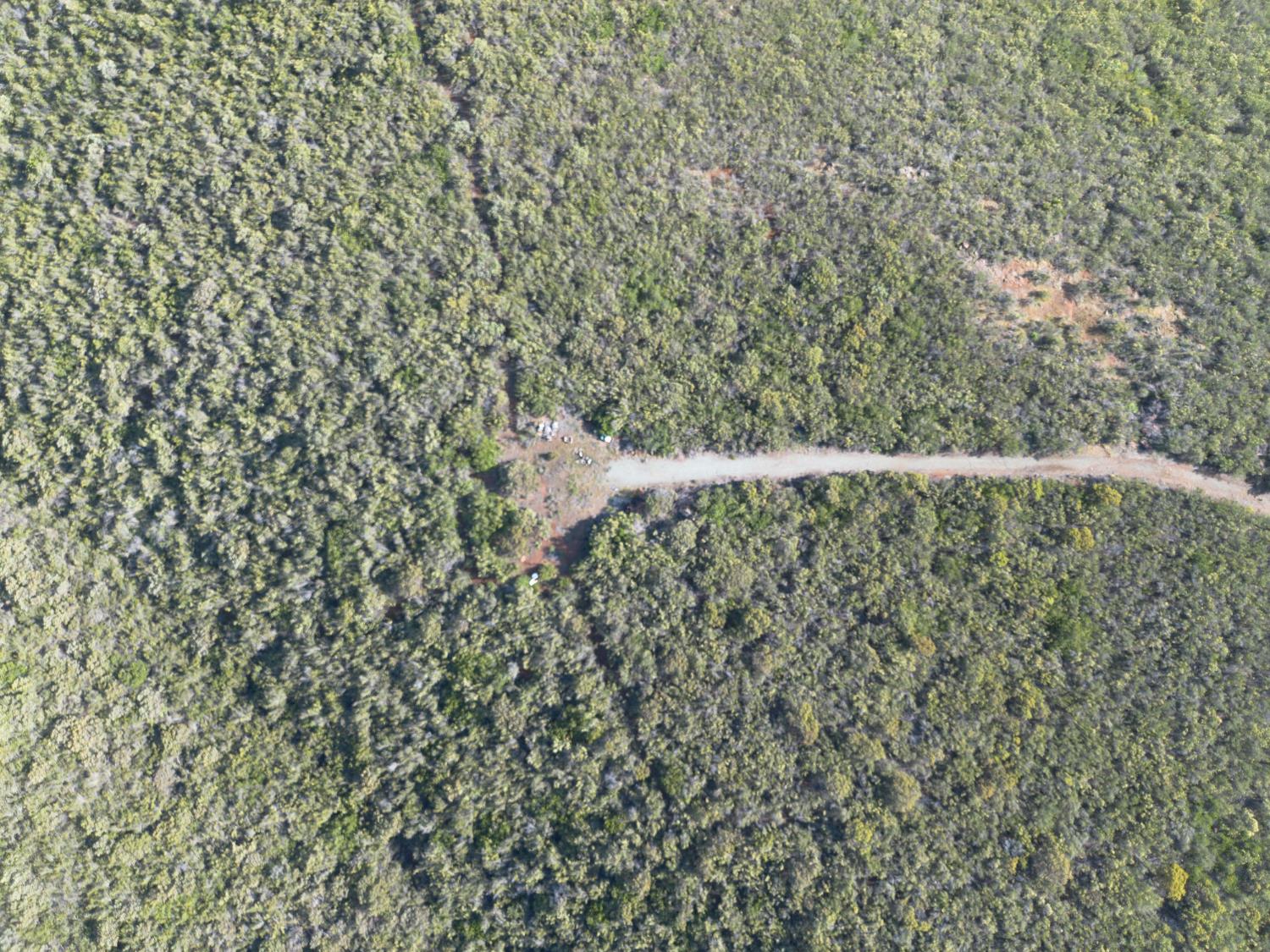 0 Storksbill Road Pilot Hill, CA 95664 - Photo 11 of 15 a close up of a wall