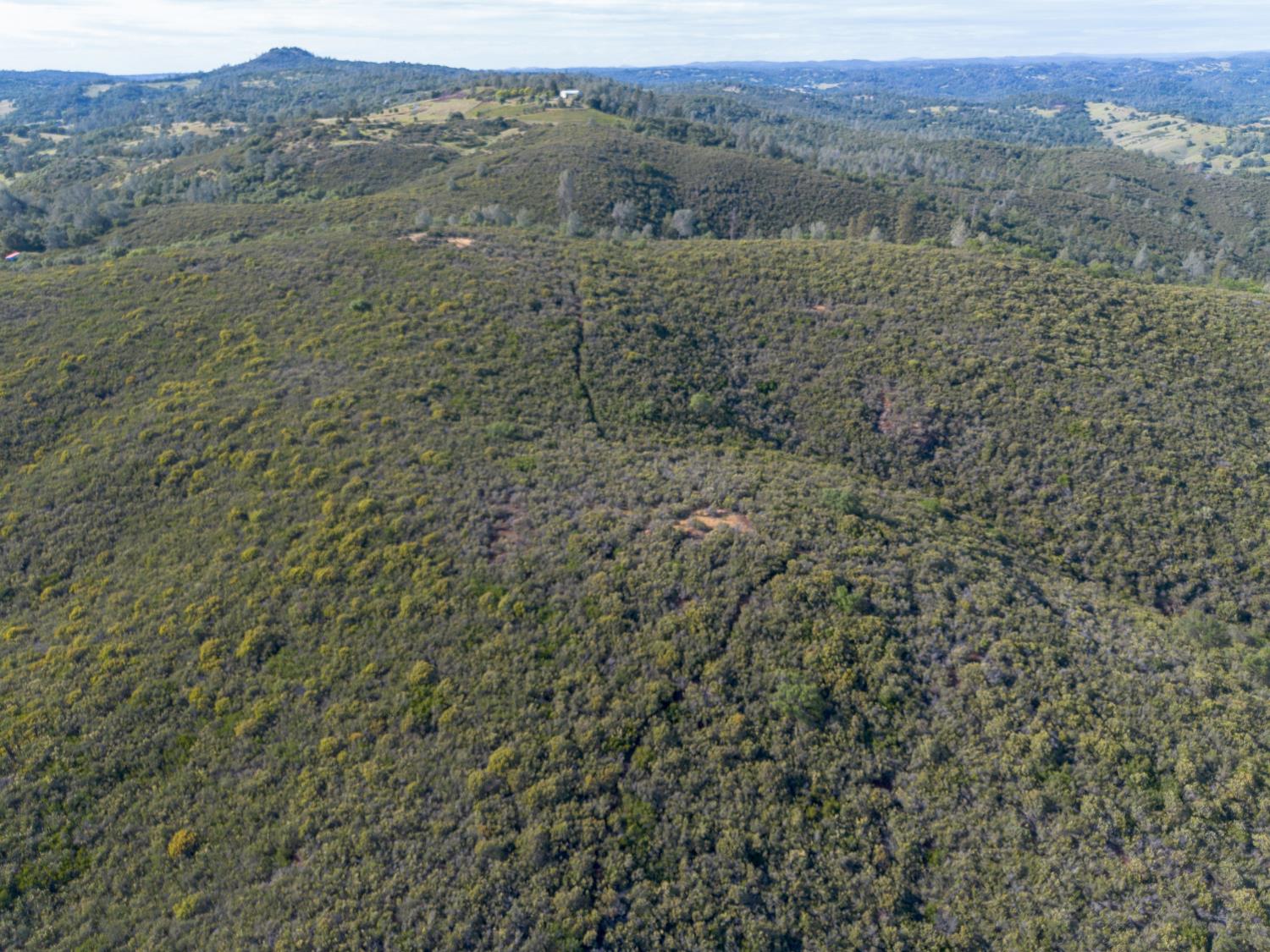 0 Storksbill Road Pilot Hill, CA 95664 - Photo 10 of 15 a view of a field with trees in the background