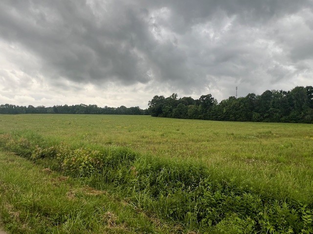 a view of a lake with a big yard