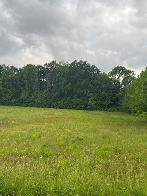 0 Paul Thompson Road Portland, TN 37148 - Photo 2 of 6 a view of yard and mountain view