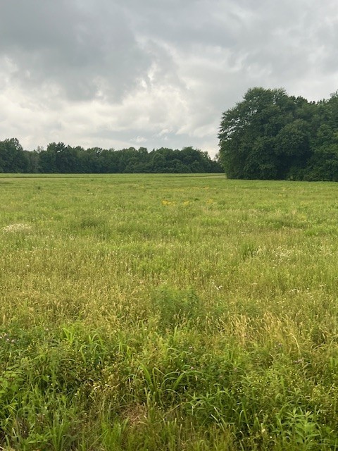 0 Paul Thompson Road Portland, TN 37148 - Photo 3 of 6 a view of a lake view