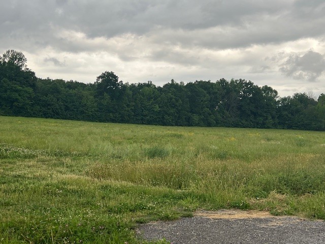 0 Paul Thompson Road Portland, TN 37148 - Photo 6 of 6 a view of a field with an ocean view